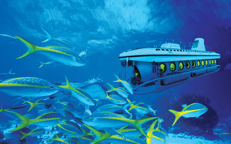 Łódź podwodna Sindbad Hurghada - 22 metry pod wodą