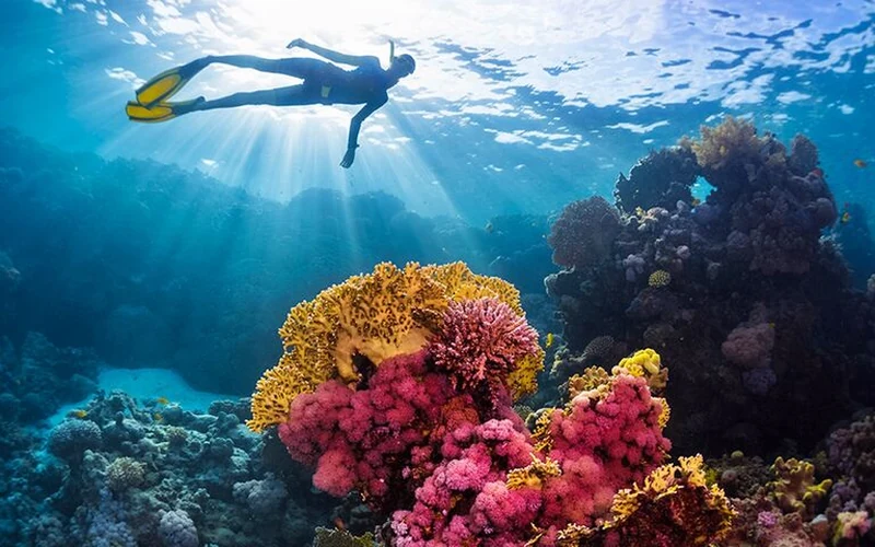 Nurkowanie Intro Hurghada - pierwsze kroki pod wodą