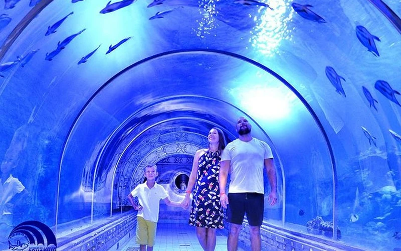 Grand Aquarium Hurghada - największe akwarium w Egipcie